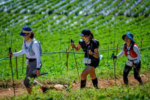 BIB: 317
                            <button type="button" onclick="openModal(19164626)" class="btn btn-primary btn-sm float-right btn-popup" data-toggle="modal" data-target=".modal-high-quality">
                        <i class="fas fa-shopping-cart"></i> Add to Cart
                    </button>
                                            <button type="button" onclick="isThisMe(19164626, true)" class="btn btn-success btn-sm float-right btn-popup btn-isme hidden" data-toggle="tooltip" data-placement="bottom" title="นี่คือรูปของคุณใช่ไหม คลิกที่นี่เพื่อเอาเข้าอัลบั้ม">
                        <i class="fas fa-plus"></i> Add to album
                    </button>
                    <button type="button" onclick="isThisMe(19164626, false)" class="btn btn-warning btn-sm float-right btn-popup btn-isnotme hidden">
                        <i class="fas fa-ban"></i> Remove from album
                    </button>